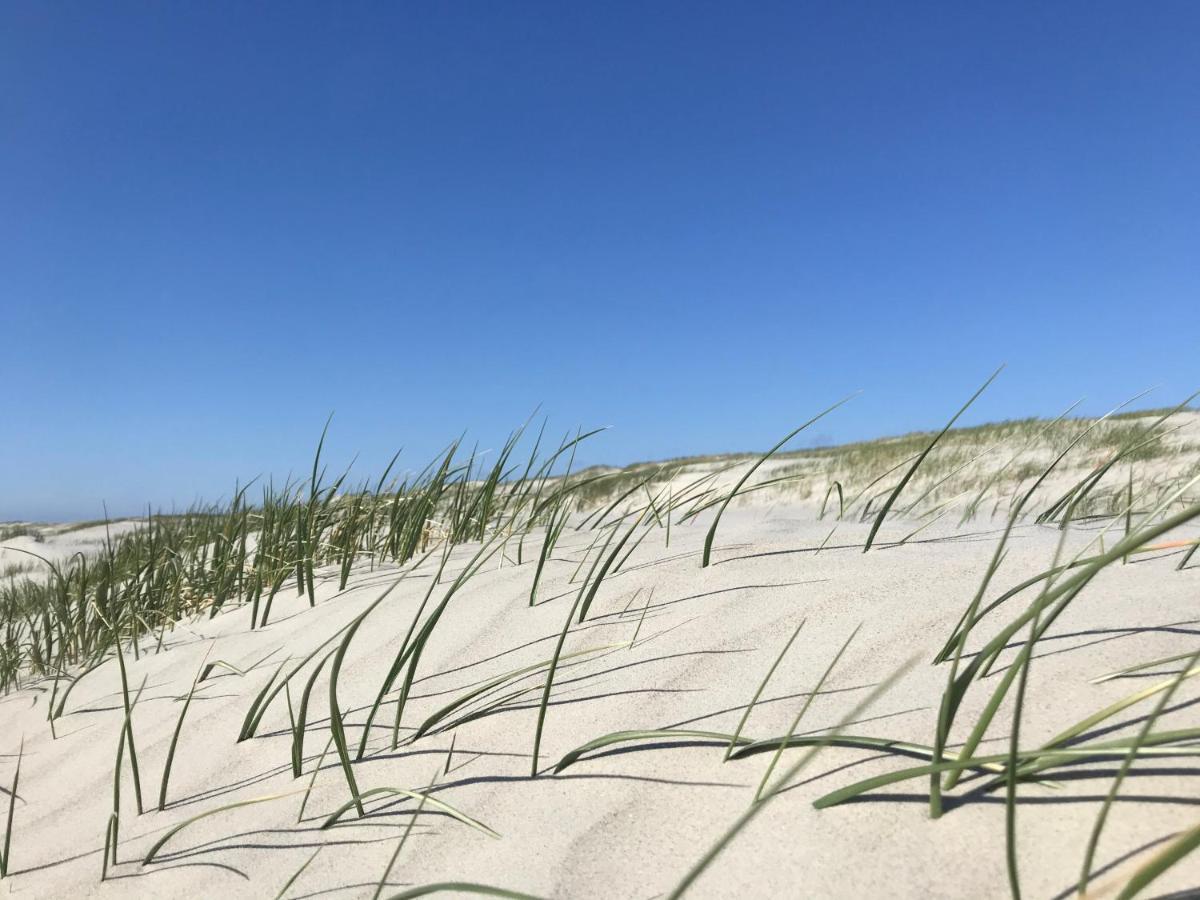 Ferienhaus-Nordseebirke Suderdeich Ngoại thất bức ảnh